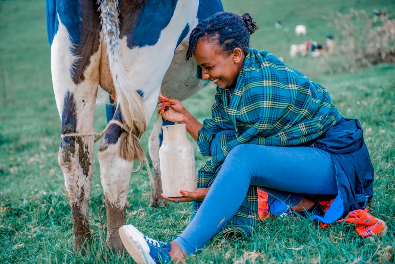 Pouring It Straight: Inside the Dairy Co-op Rebuilding What Big Ag Broke