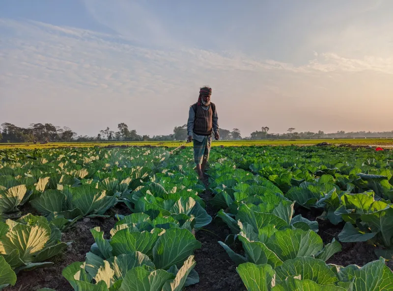 Dirt Under Their Nails, Doubt in Their Pockets: The Untold Story of America's Farm Apprentices