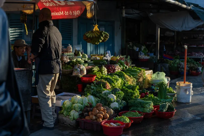 Counting Every Dollar: The Raw Financial Truth of Selling at Your Local Farmers Market