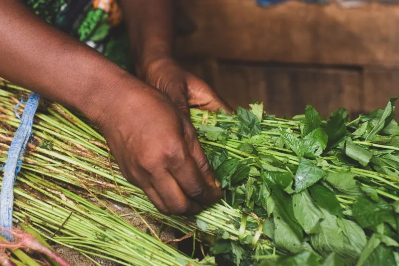Nothing Wasted: How Local Farmers Find a Life for the Crops That Don't Make the Cut