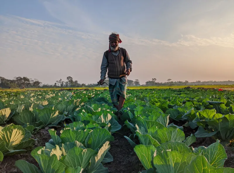 3 AM and Muddy Boots: The Farmers Who Harvest While You're Asleep