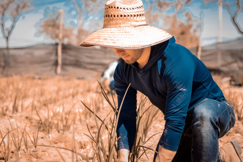 One Farmer Started Feeding the Soil. Now the Whole County Is Paying Attention.