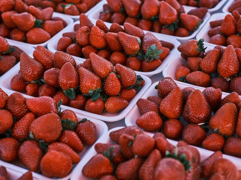 Same Fruit, Totally Different Berry: The Seasonal Secret Behind Your Strawberry's Flavor