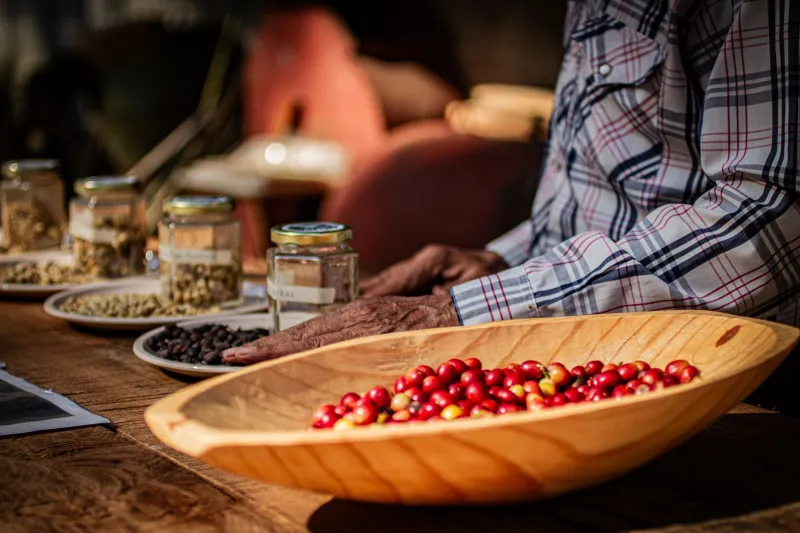 Seeds of Resistance: The Ordinary People Saving Extraordinary Plants Before They Disappear Forever