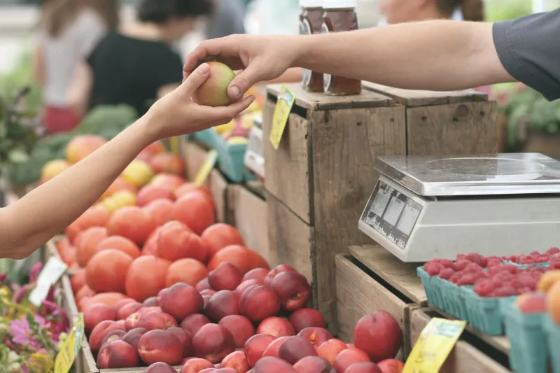 What You're Really Paying For When That Tomato Costs Four Dollars